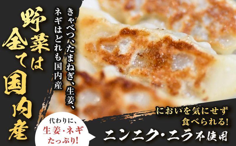 鹿児島うんまか豚生餃子4パック（餃子48個入り・タレ付）　K005-003_01