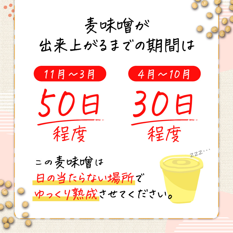 「かねよ みそ しょうゆ」麦味噌手作りキット 3kg　K058-004