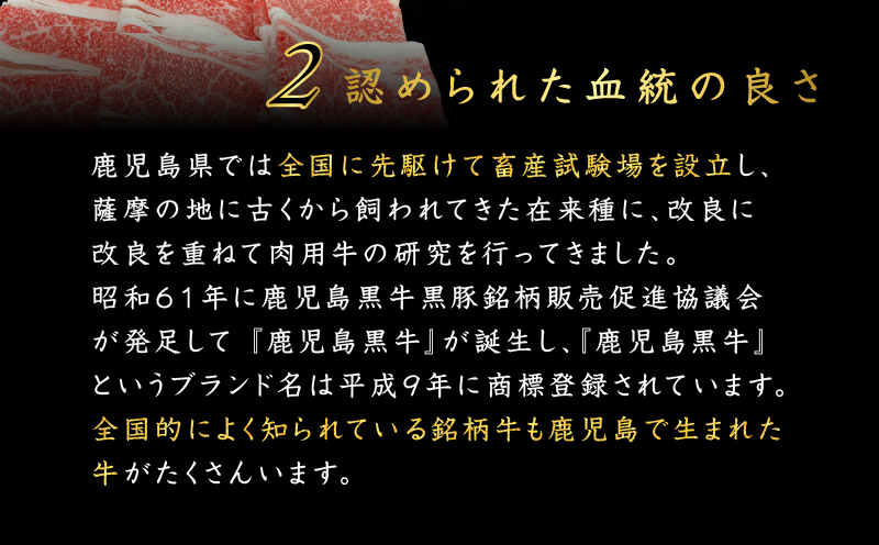 鹿児島県産 黒毛和牛スライス（ブリスケット）500g　K151-001