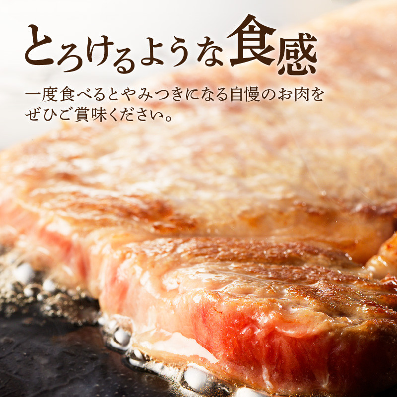 【肉のヨコムラ】鹿児島県産 黒毛和牛サーロインステーキ　K189-005