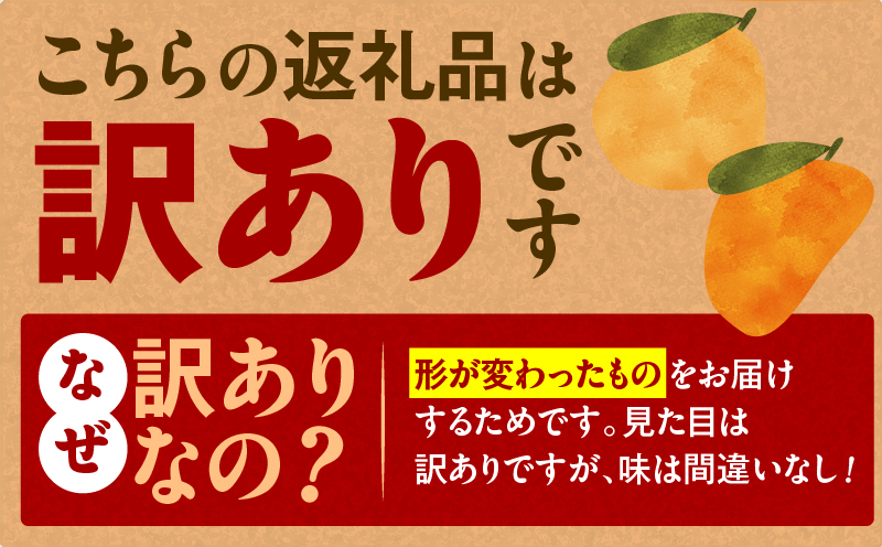 旬の朝採り！ 鹿児島 桜島産びわ 3箱（訳あり品）　K343-002_03