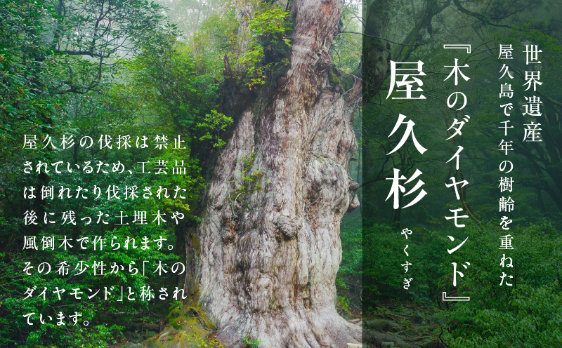 螻倶ケ譚 蜃コ騾「縺螟ォ蟀ヲ邂ク縲K042-008