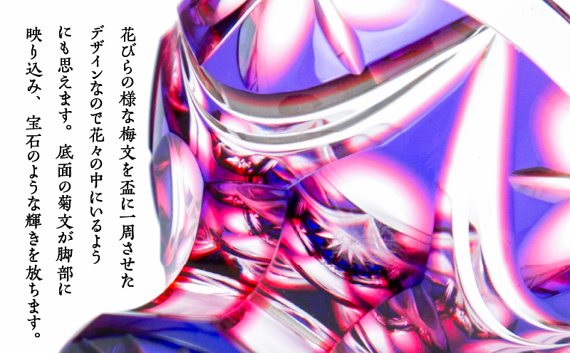 å³¶æŽ¥è©æ©åå èä»ç C-202 ã«ãªéèµ€ãK010-039_01