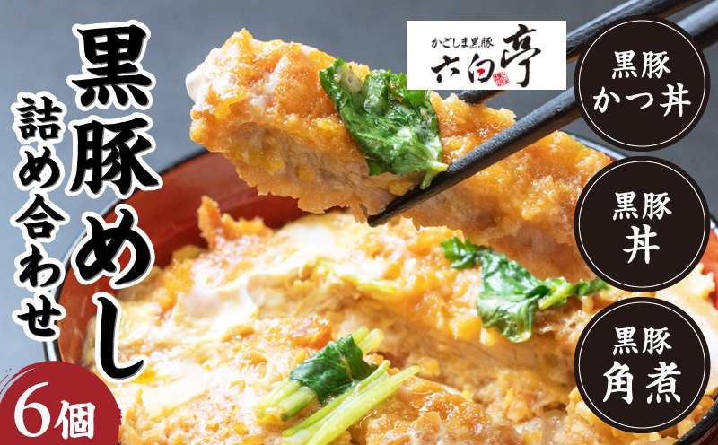 【かごしま黒豚 六白亭】黒豚めし詰合せ 6個　K163-004
