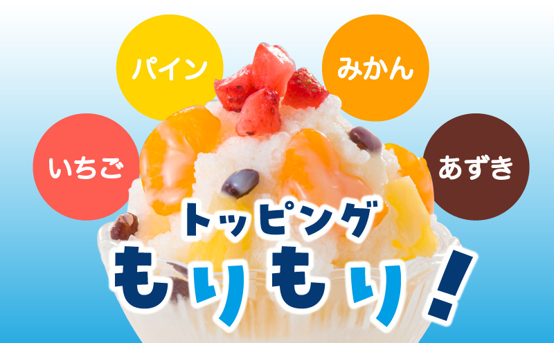 セイカ食品 南国白くまDX 詰め合わせセット　K051-002