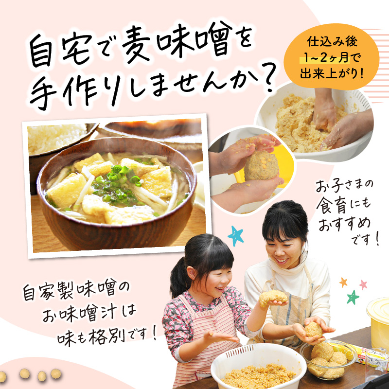 「かねよ みそ しょうゆ」麦味噌手作りキット 3kg　K058-004