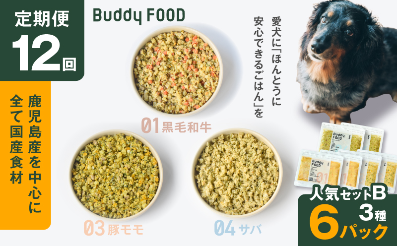 【全12回定期便】Buddy FOOD 人気セットB 3種6パック　K390-T12_c