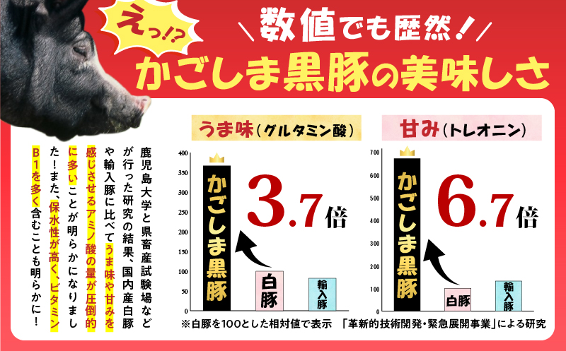 鹿児島県産 黒豚切り落としミンチセット 2.5kg　K025-014_05