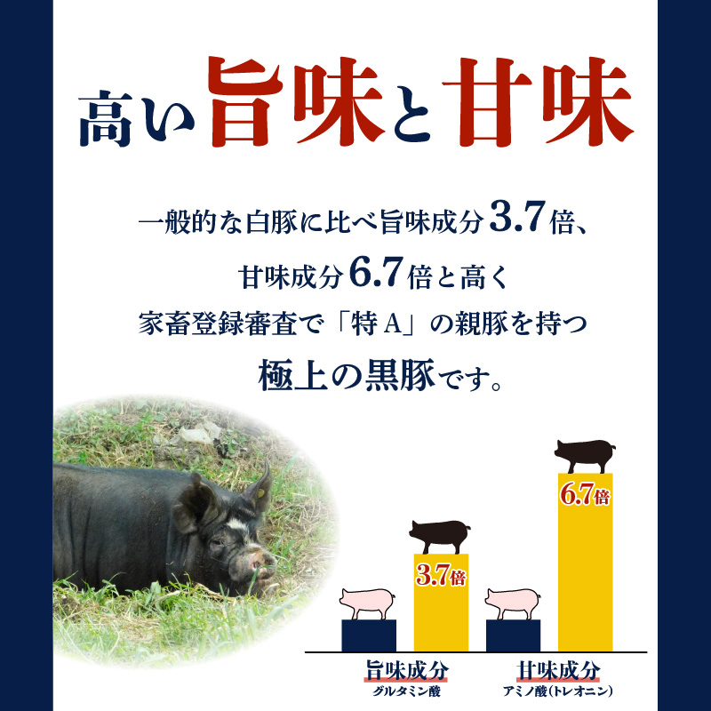 昔ながらの黒豚しゃぶしゃぶセット【バラ、ロース、肩ロース】３〜４人前　K125-003