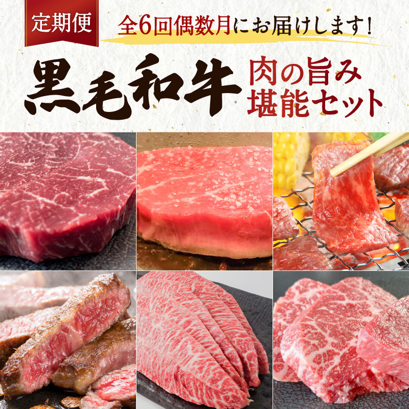 【全６回】黒毛和牛の肉の旨み堪能セット　K098-T04