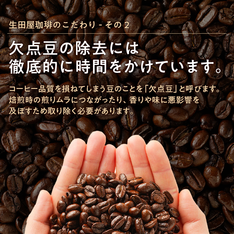 【ドリップバッグ】4種類の有機豆を使用した贅沢ブレンド珈琲　K186-002