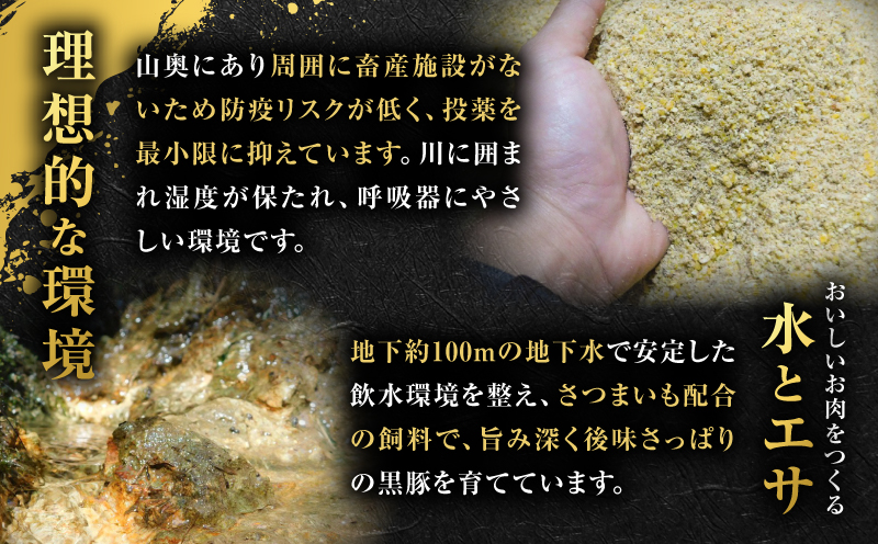 昔ながらの黒豚しゃぶしゃぶセット1.2kg＜ロース、バラ、モモ＞　K125-005