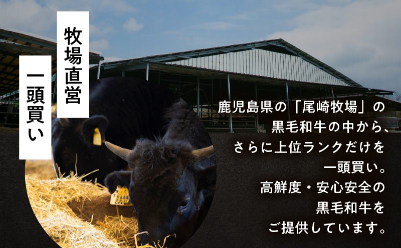 【全12回】鹿児島黒毛和牛定期便　K130-T01