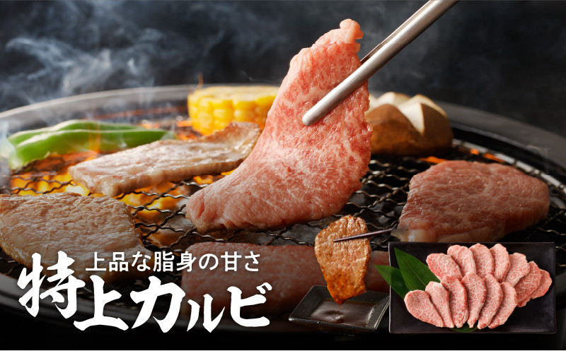 【鹿児島黒毛和牛A4〜A5】焼肉特上セット（特上カルビ/特上ロース）　K189-007