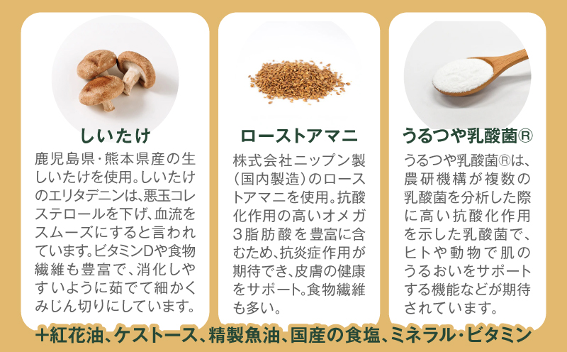 縲仙ィ12蝗槫ョ壽悄萓ソ縲腺uddy FOOD 繝倥Ν繧ケ繧ア繧「繝励Λ繧ケ 逧ョ閹壹し繝昴シ繝医き繝繧ェ繝サ繧ア繧「テ6繝代ャ繧ッ縲K390-T10_c