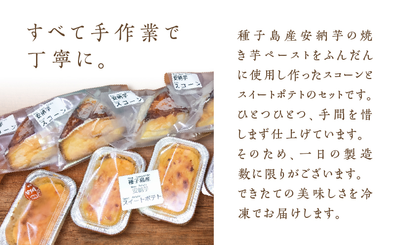 遞ョ蟄仙ウカ逕」螳臥エ崎葛繧ケ繧ウ繝シ繝ウシ繧ケ繧、繝シ繝医昴ユ繝医そ繝繝医K366-002