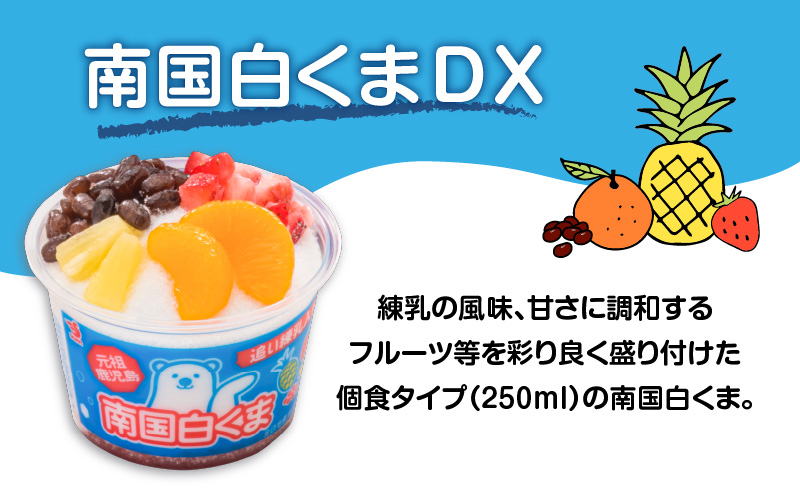 セイカ食品 南国白くまDX 詰め合わせセット　K051-002