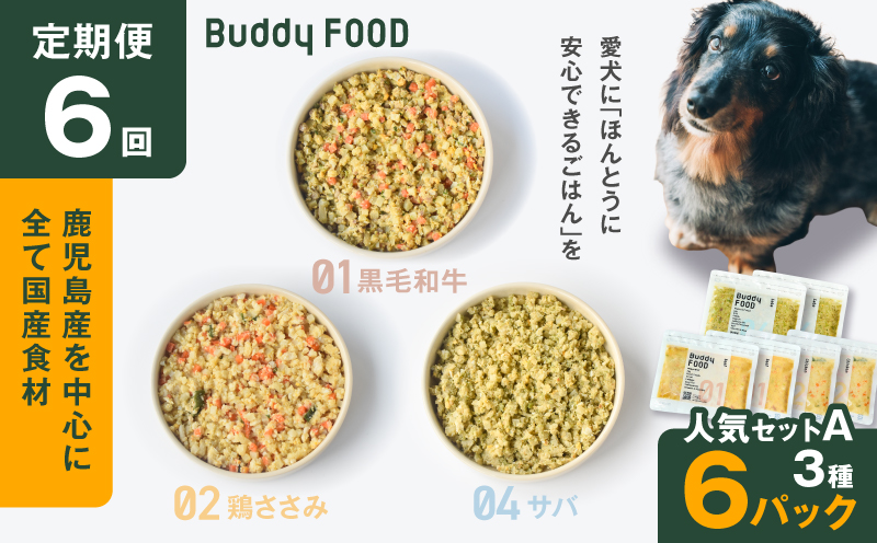【全6回定期便】Buddy FOOD 人気セットA 3種6パック　K390-T11_b