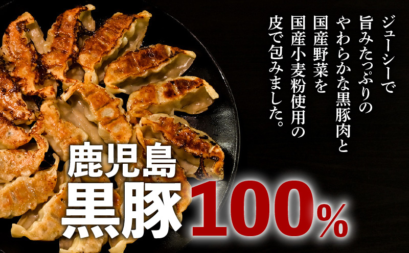 縲千ャャ1蝗 譌・譛ャ蜈ィ蝗スシ√#蠖灘慍蜀キ蜃埼」溷刀螟ァ雉 2024-2025 蜆ェ遘雉槫女雉橸シ√鷹ケソ蜈仙ウカ鮟定ア100%鬢蟄 48蛟句・繧翫K027-008