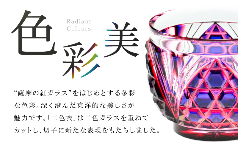 å³¶æŽ¥è©æ©åå äºè²çªå£ïŒå€§ïŒ C-208 ã«ãªç·ãK010-056_02