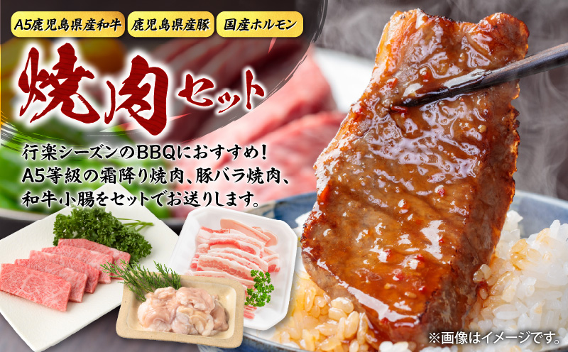 【A5和牛・豚・ホルモン】焼肉セット900g　K002-055