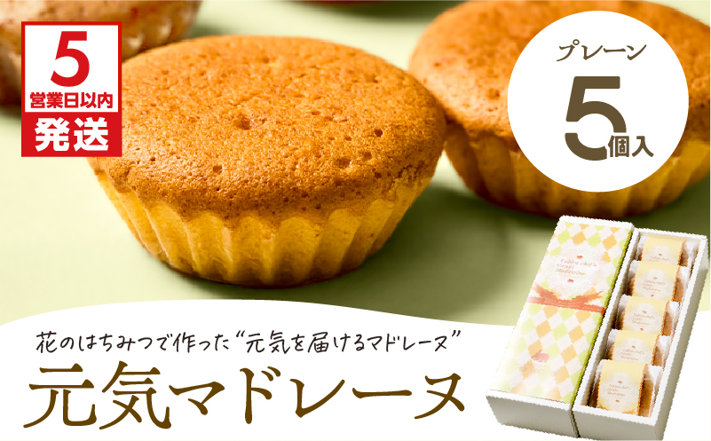 【5営業日以内に発送】元気マドレーヌ プレーン 5個入り　K300-005_01