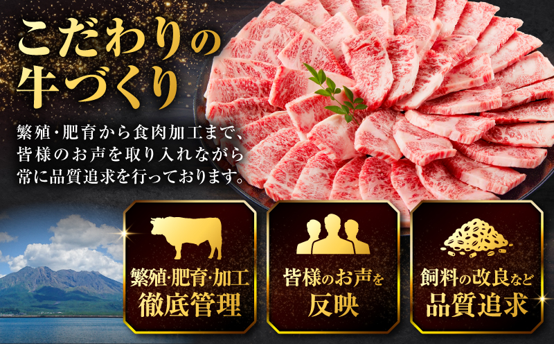 北さつま牛カルビ焼肉用　K137-006