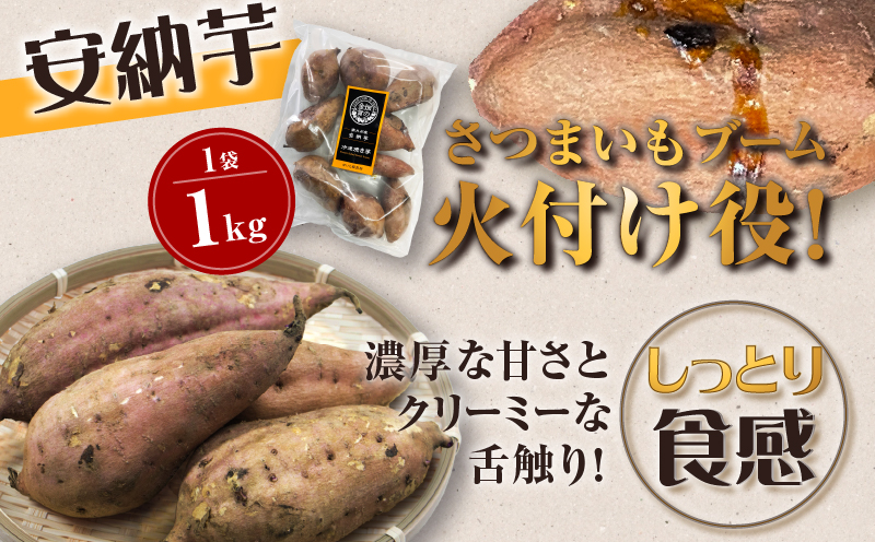 畑の金貨 焼き芋3種セット 3kg　K181-001_04