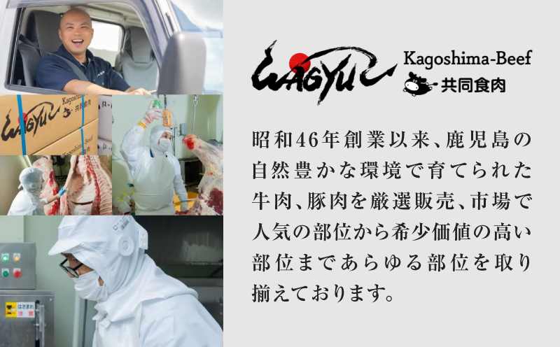 北さつま牛サーロインステーキ　K137-004