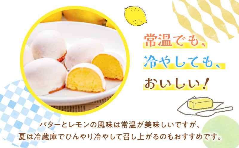 桜島檸檬のレモンケーキ　K236-001