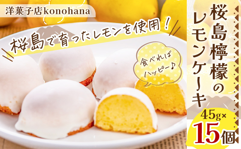 桜島檸檬のレモンケーキ　K236-001