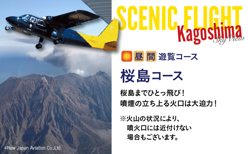 【昼間遊覧飛行】桜島コース　ブリテンノーマン式BN2B型（大人9名まで）　K222-FT006