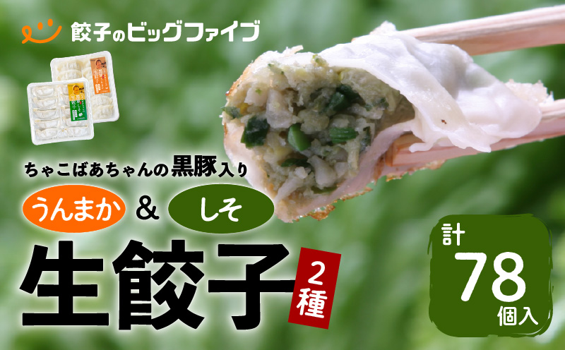 ちゃこばあちゃんの黒豚入りうんまか・しそ生餃子 計78個入り　K027-005