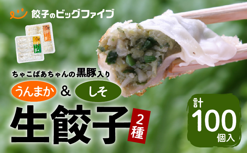 ちゃこばあちゃんの黒豚入りうんまか・しそ生餃子 計100個入り　K027-006