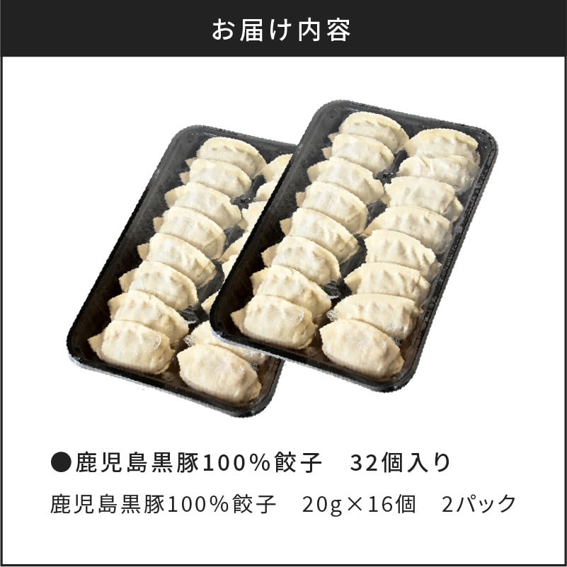鹿児島黒豚100％餃子　32個入り　K027-007