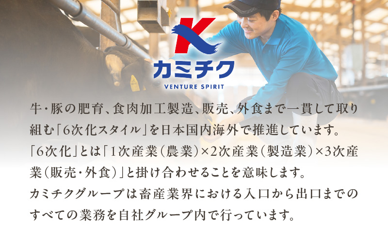 【A5和牛・豚・ホルモン】焼肉セット900g　K002-055