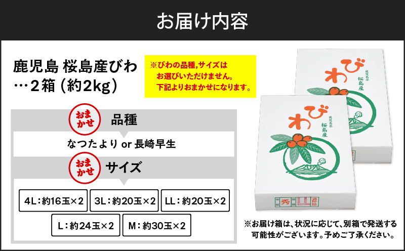 旬の朝採り！ 鹿児島 桜島産びわ 2箱（秀品）　K343-001_02