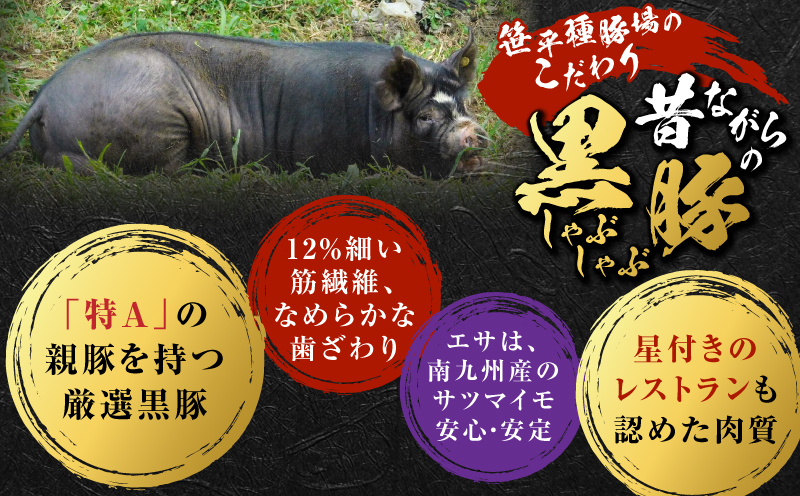 昔ながらの黒豚しゃぶしゃぶセット1.2kg＜ロース、バラ、モモ＞　K125-005