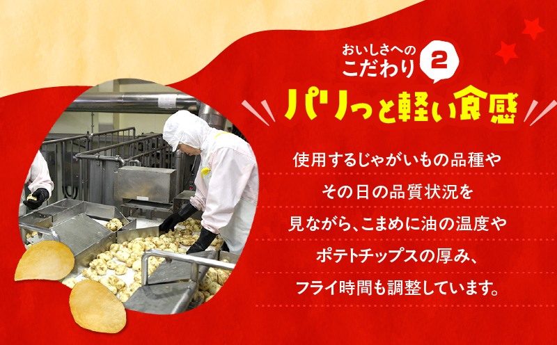 ã«ã«ã㌠ããããããã¹ BIGBAGãã³ã³ãœã¡ãã³ãã12è¢ãK194-002_06