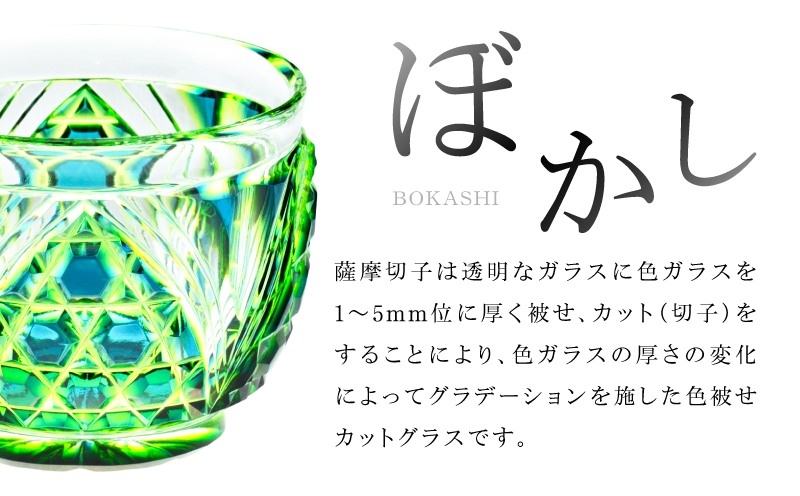 å³¶æŽ¥è©æ©åå äºè²çªå£ïŒå€§ïŒ C-208 ã«ãªç·ãK010-056_02
