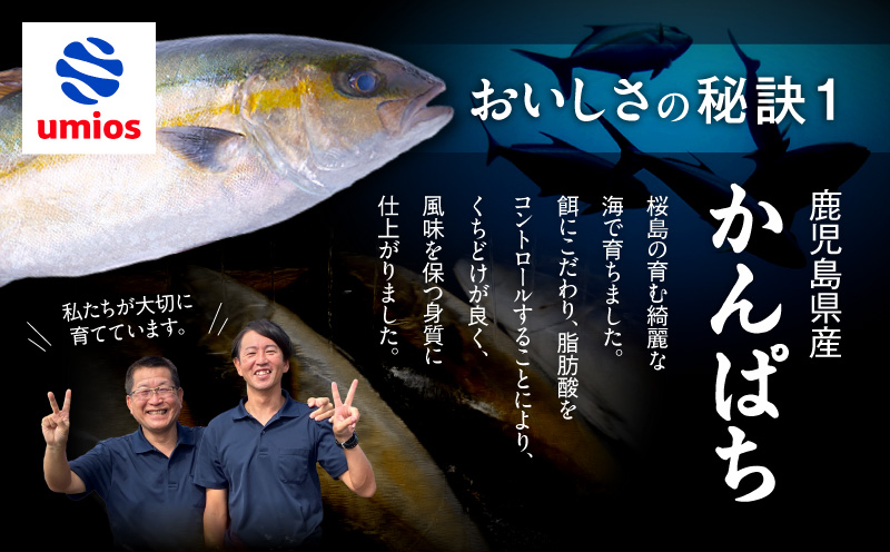 譯懷ウカ轣ー蟷イ縺励°繧薙ア縺。 縺願ゥヲ縺励そ繝繝医K255-001_01