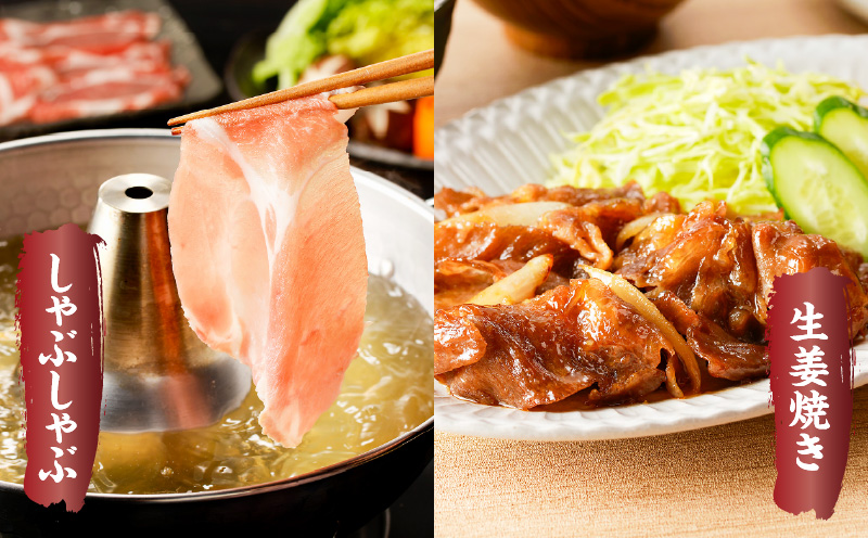 【ご自宅用】黒豚しゃぶしゃぶ2種盛！　K151-005_01