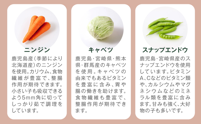 【全6回定期便】Buddy FOOD 01 黒毛和牛×6パック　K390-T01_b
