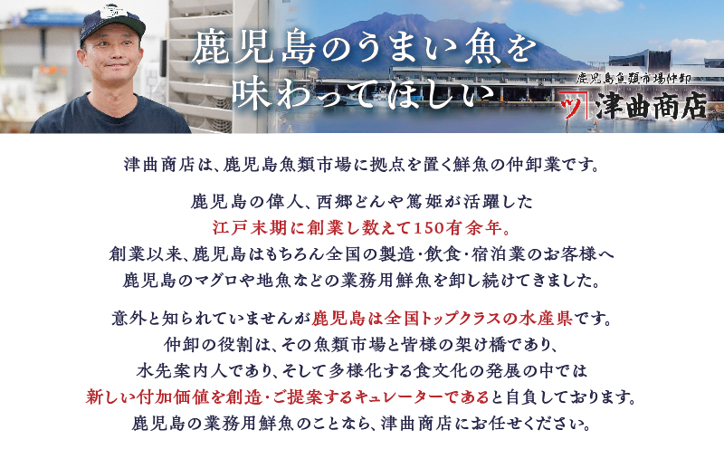 鹿児島産 キビナゴ刺身 40尾 4人前　K100-010