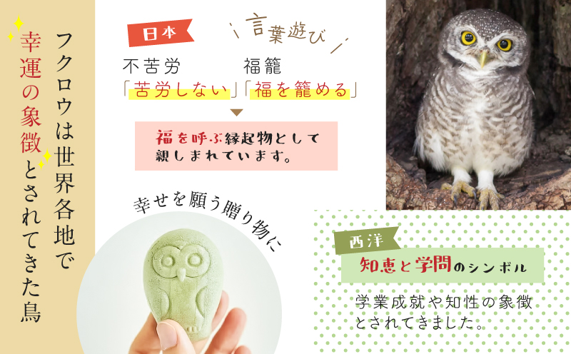 ã20矜å
¥ããã¯ããŠã®ããã©ã³ã¿ã³ãK320-004_03ãæéäŒç€ŸSWEET LABELïŒFUKU+REïŒã