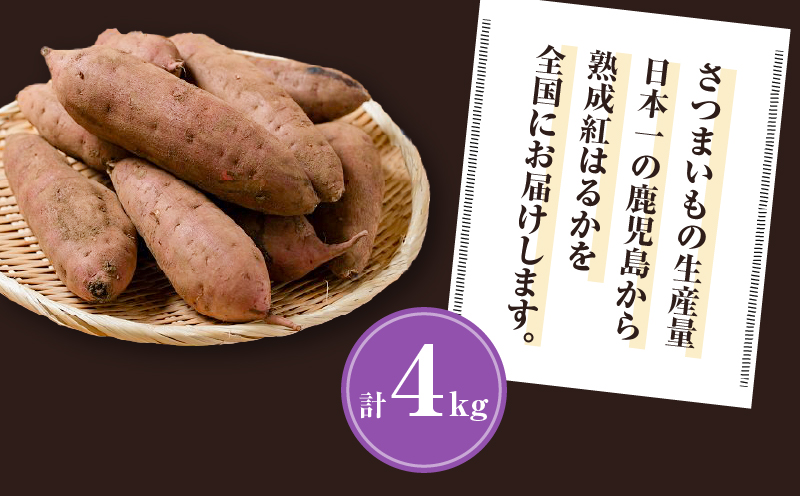 畑の金貨 生芋 紅はるか4kg　K181-006