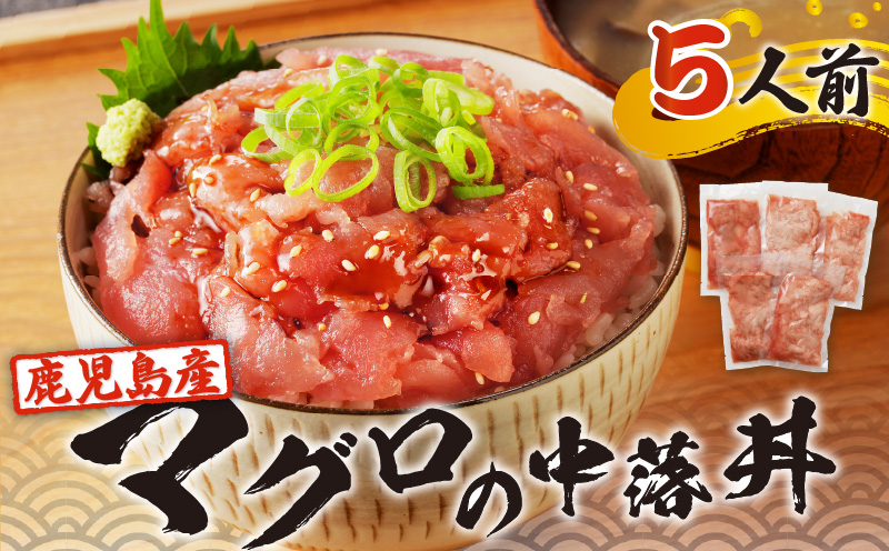 鹿児島産マグロの中落丼 5人前　K100-004