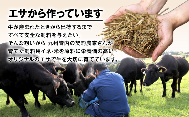 鹿児島県産豚バラスライス 3kg（250g×12P）　K002-033_03