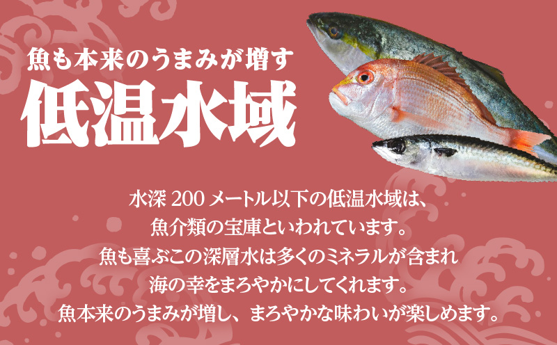 【海幸】漬け魚 6種 詰め合わせ（FK-01）　K065-003