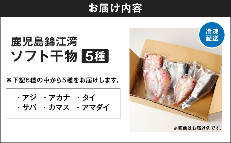 鹿児島錦江湾のソフト干物5種セット　K295-001